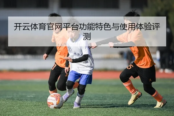 开云体育官网平台功能特色与使用体验评测