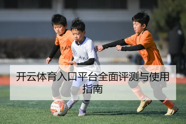 开云体育入口平台全面评测与使用指南